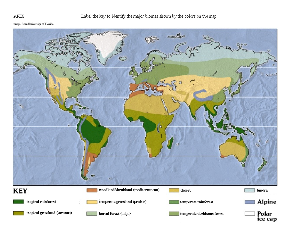 04 Biome Map coloring A K 