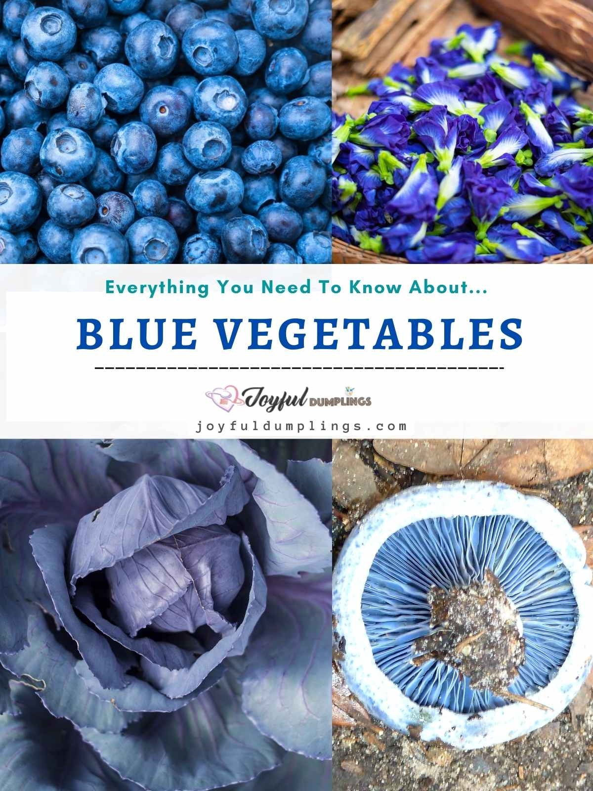 10 Blue Vegetables Add Blue Color To Your Diet Joyful Dumplings