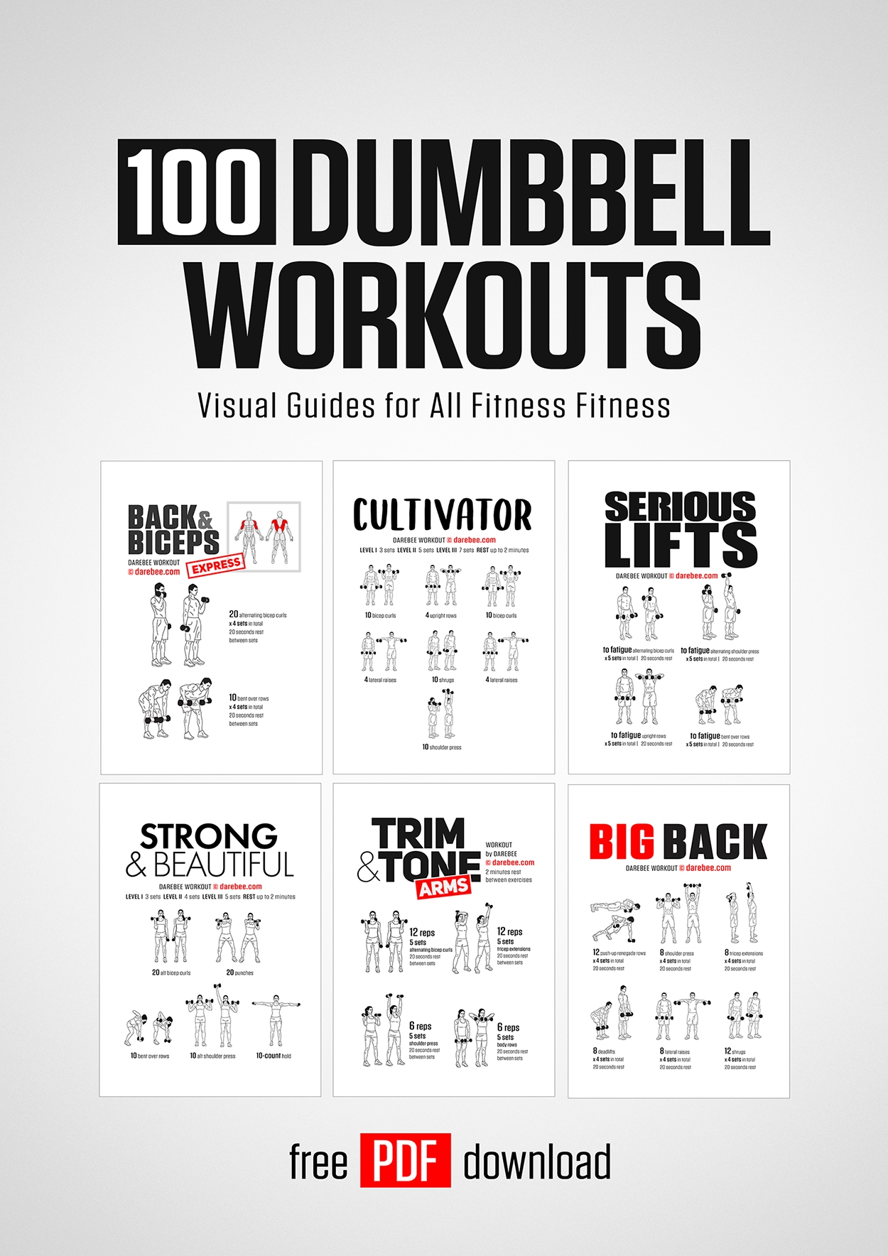beginner printable dumbbell workout