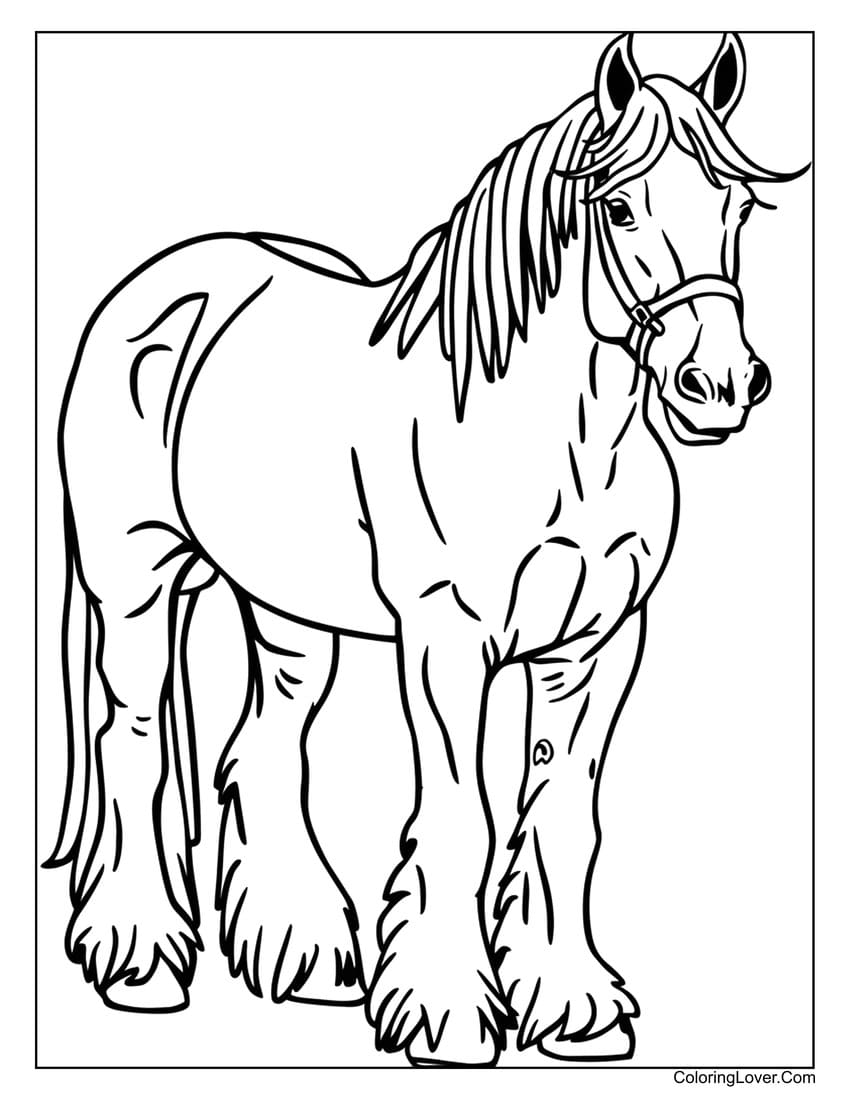 horse coloring sheets printable