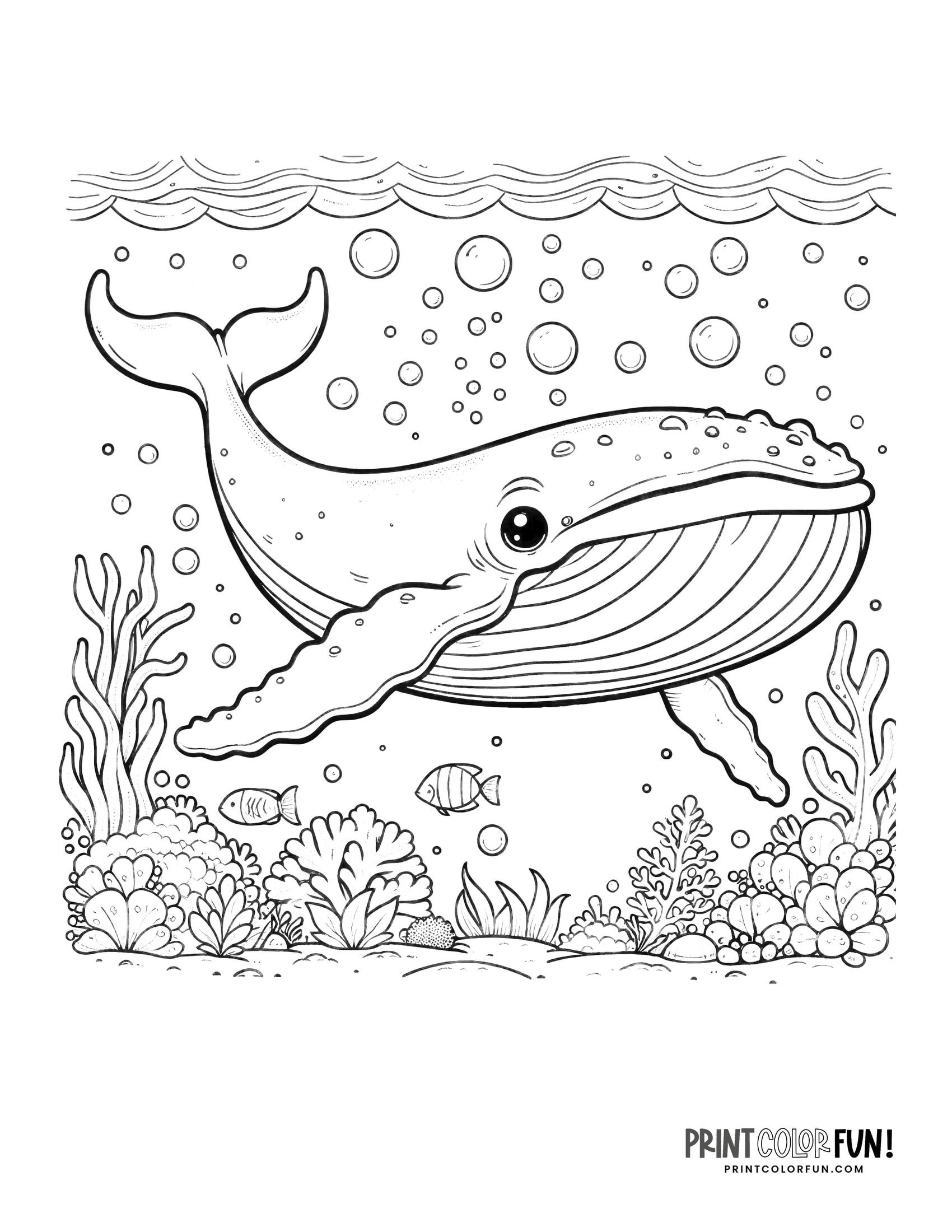 beluga whale coloring page