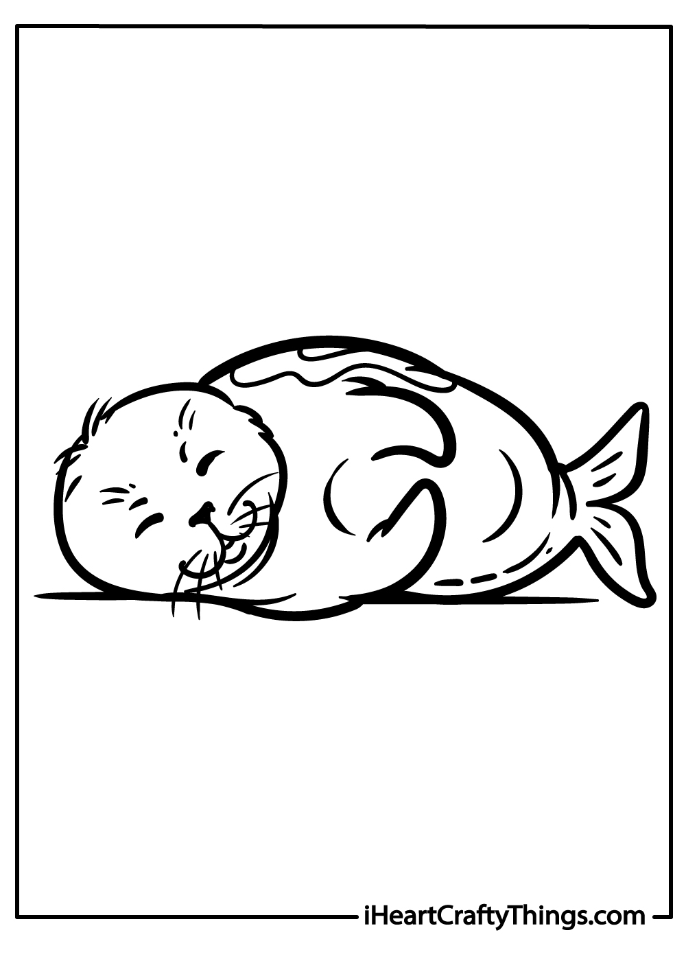 coloring picture of a seal