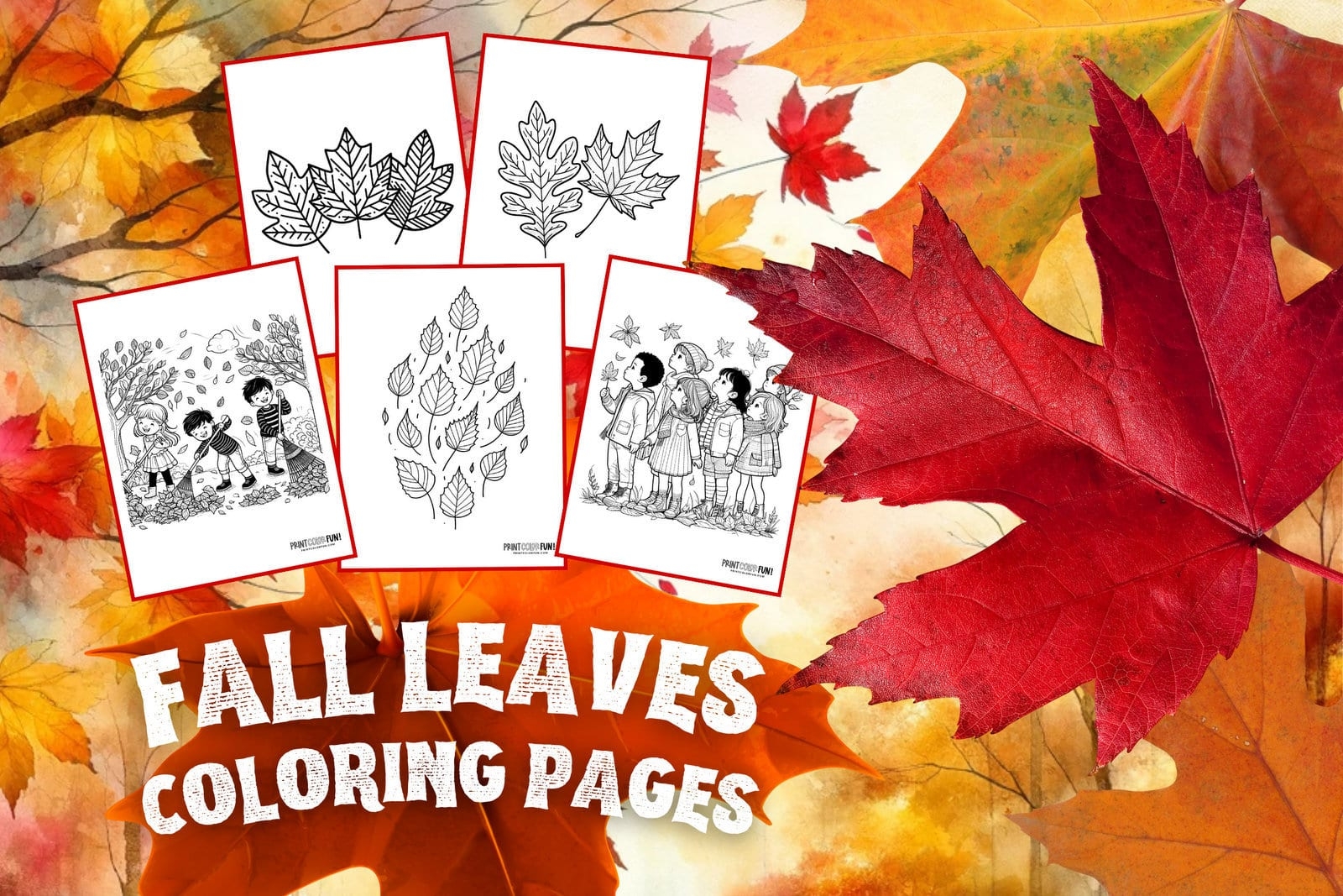 17 Fall Leaf Coloring Pages With Easy Craft U0026 Learning Activities That Will Spark Young Imaginations At PrintColorFun