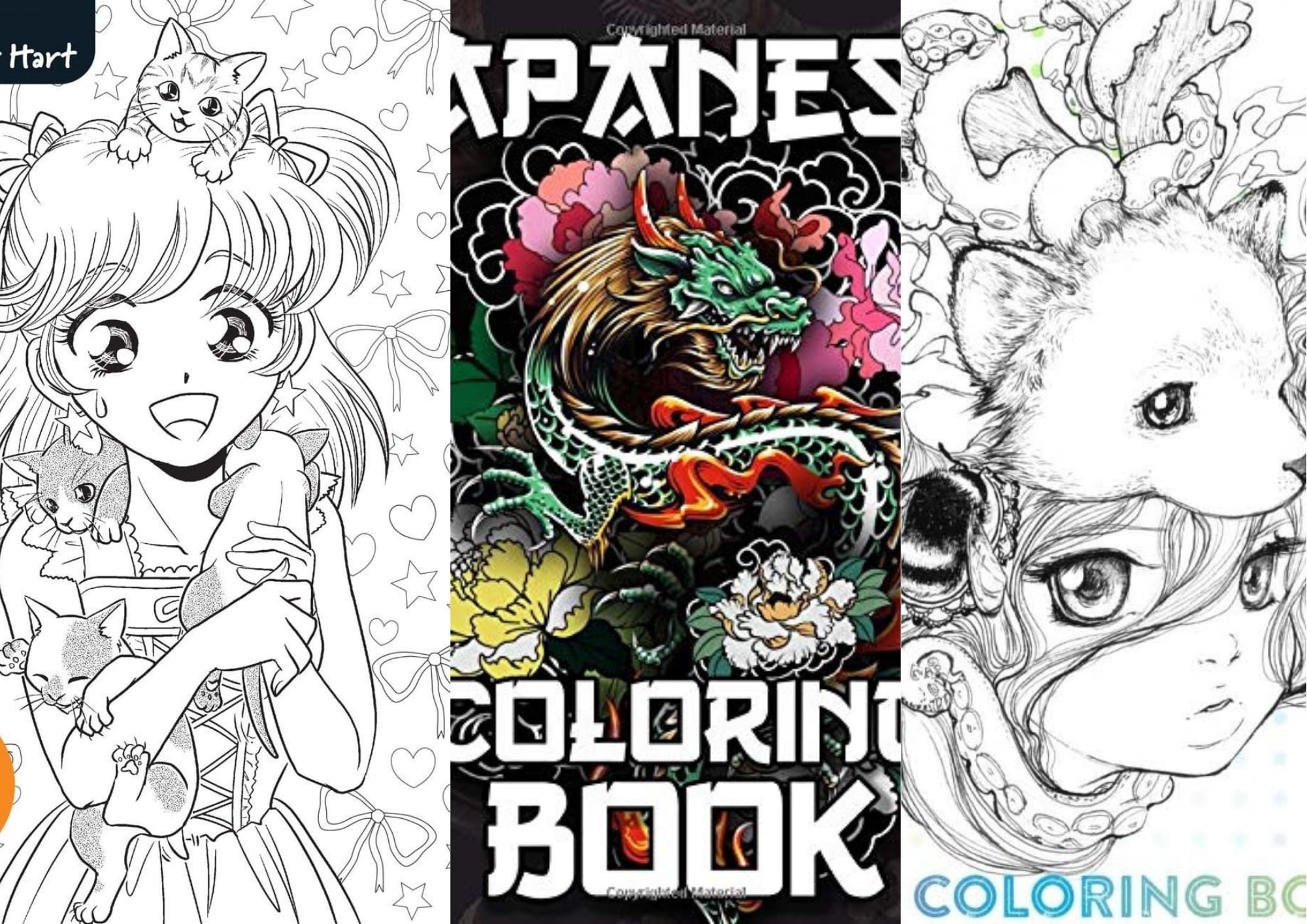 anime coloring books for adults