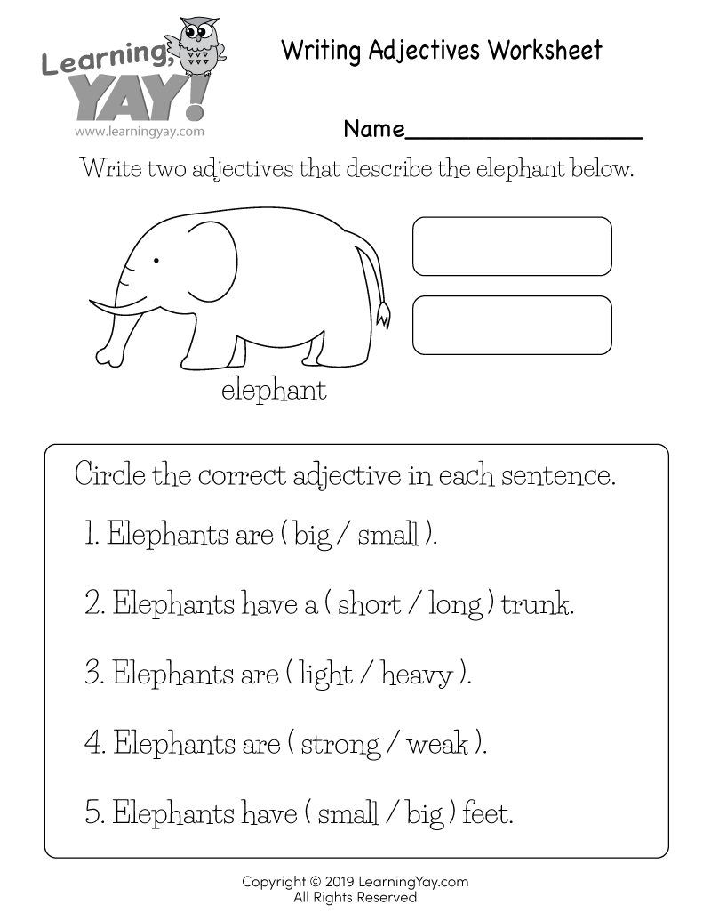 1st Grade English Worksheets Free Printables 