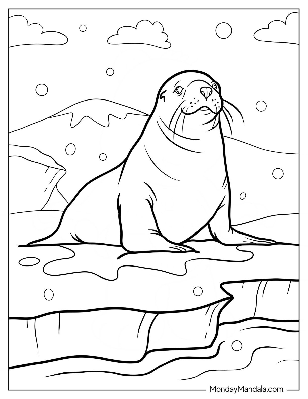 20 Seal Coloring Pages Free PDF Printables 