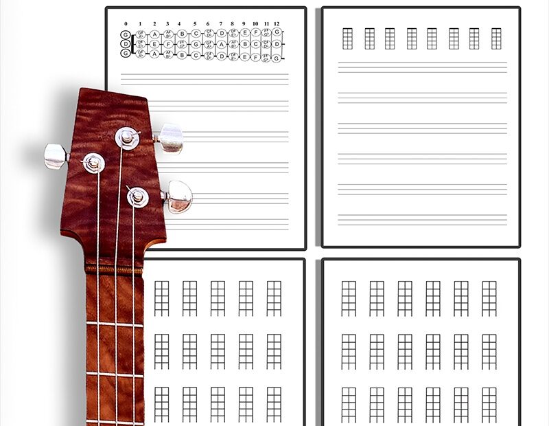 3 String Blank Tablature Workbook U0026 Reference For Cigar Box Guitar