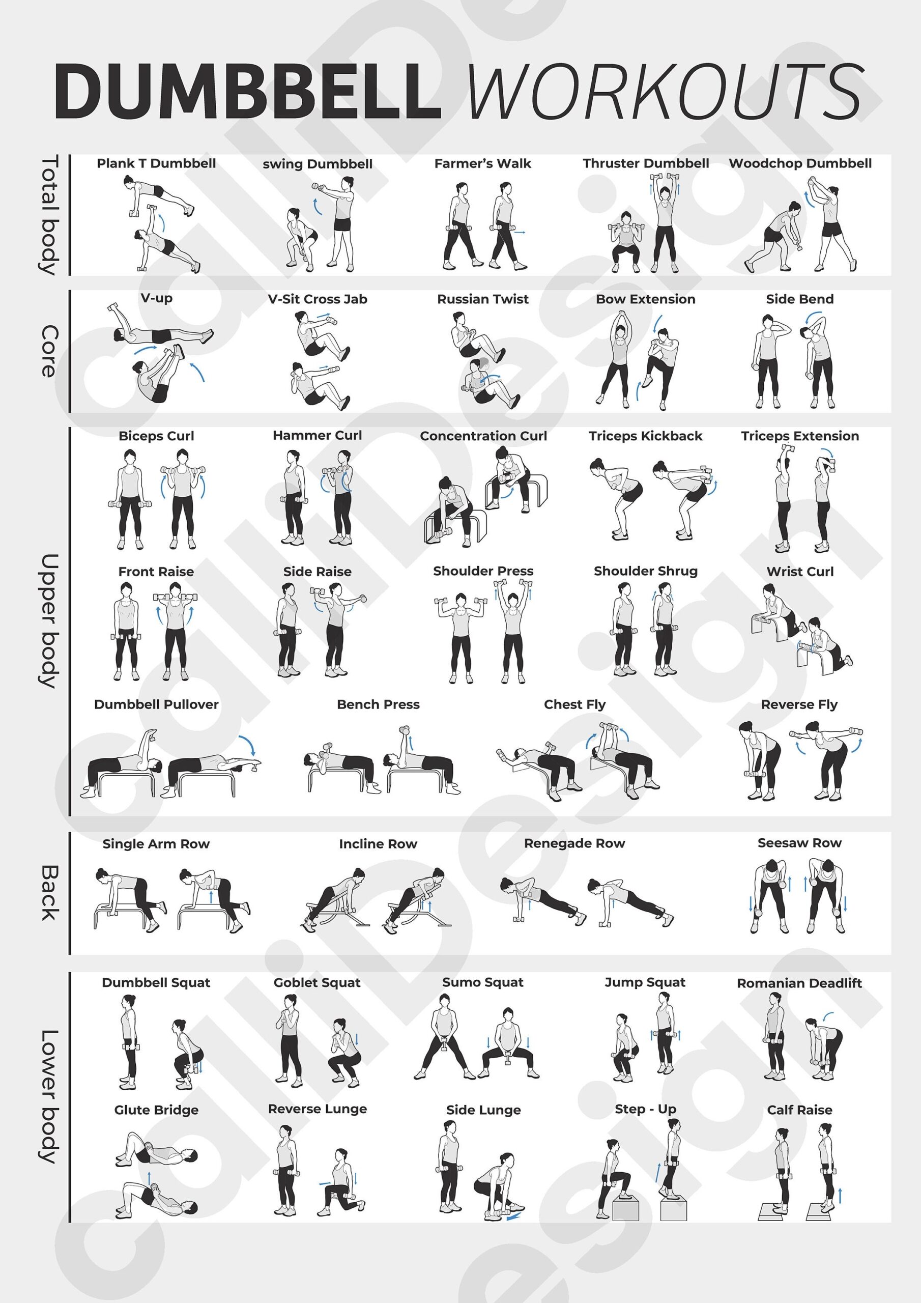 38 Types Of Dumbbell Exercise Illustrations And 1 Type Of Poster 