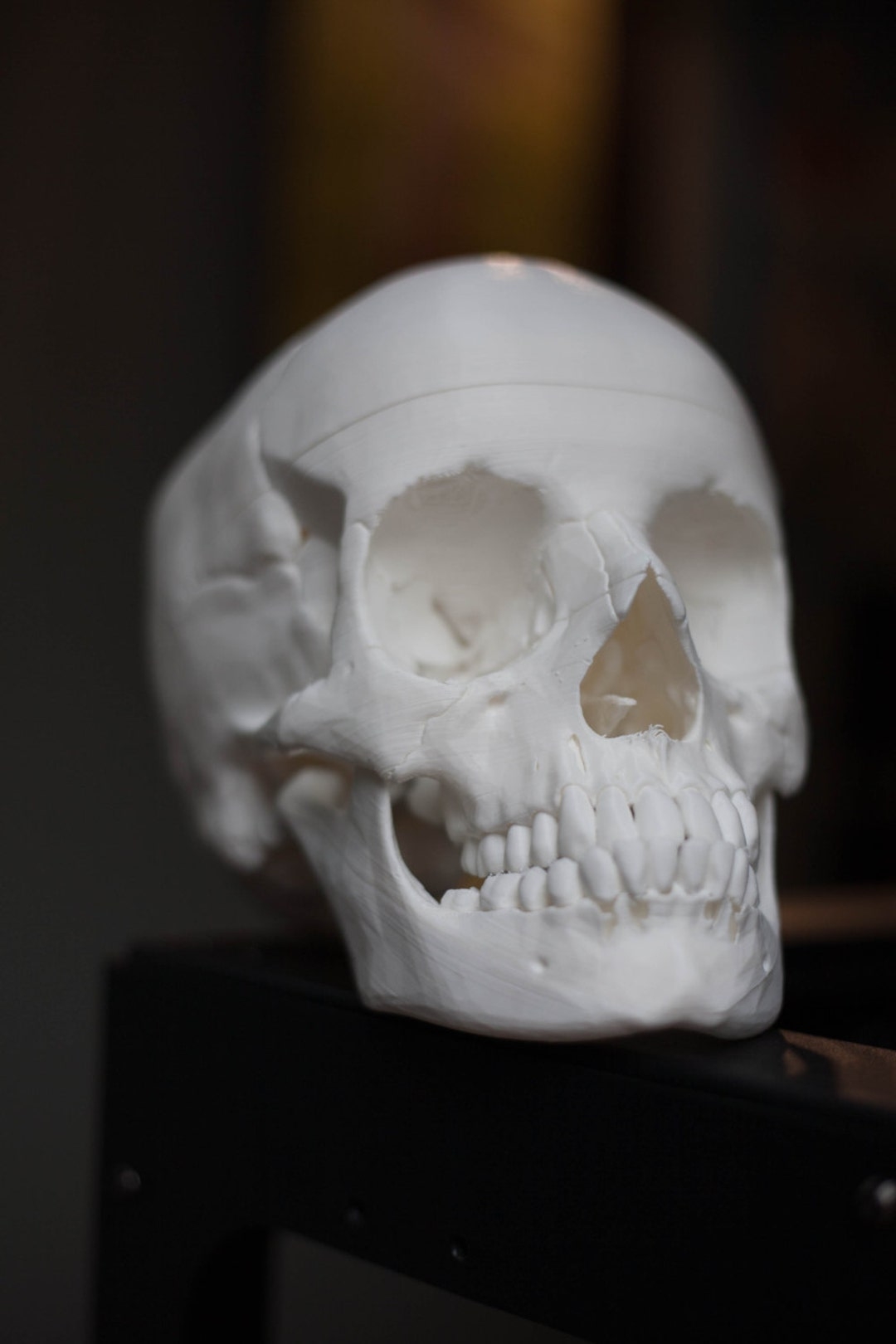 3D Printed Lifesize Human Skull Halloween Decor Etsy