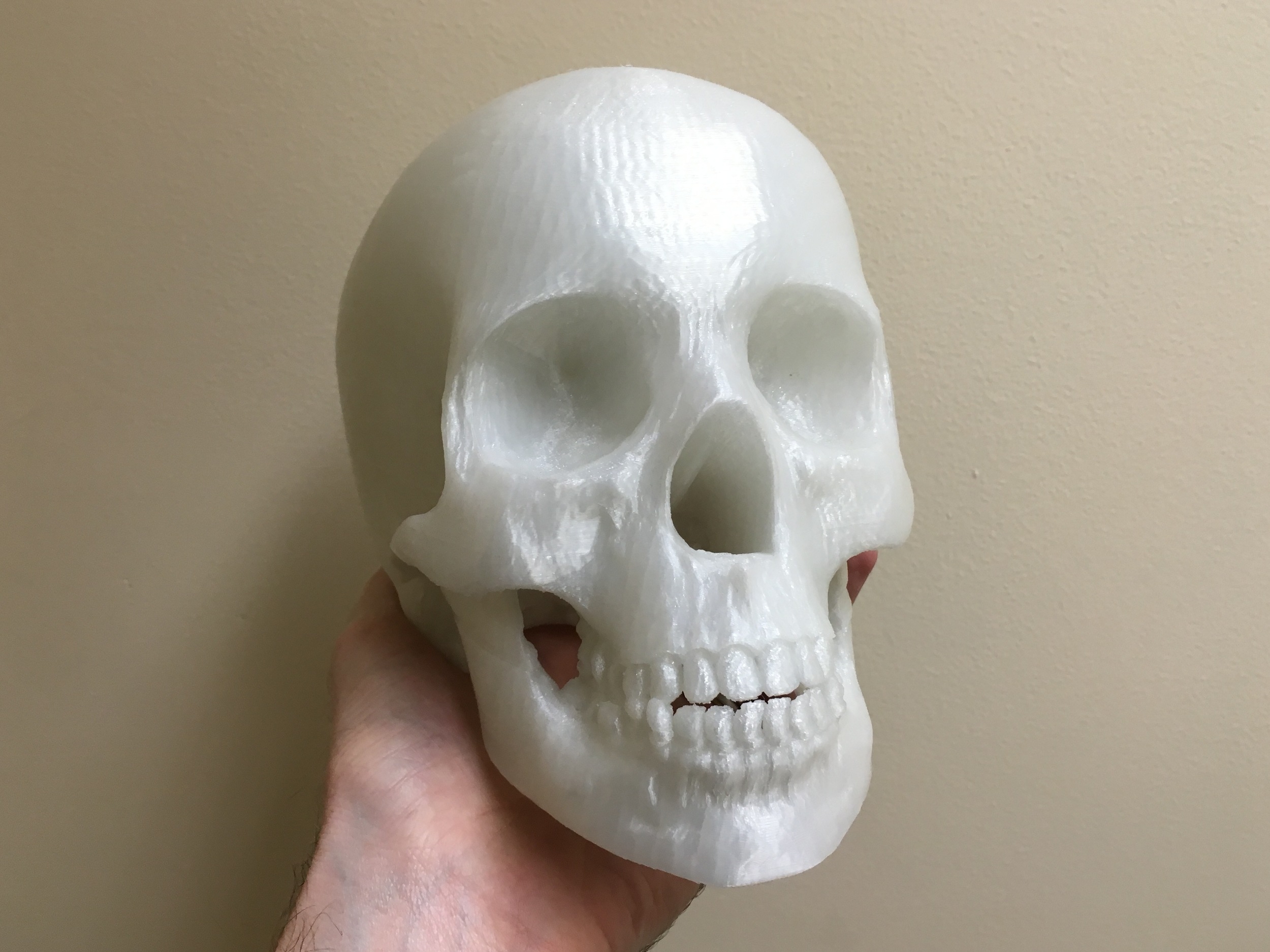 3d printable skull