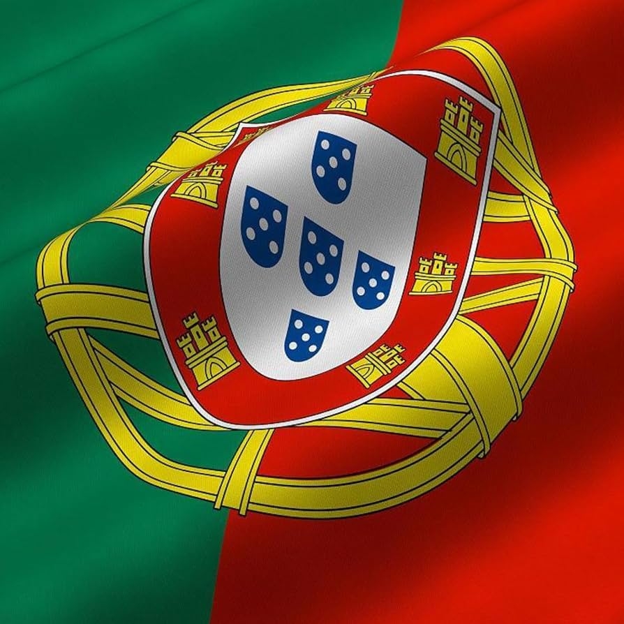 3x5 FT Portugal Flag 1 Pcs Portuguese National Flags With Brass Grommets And Double Stitched Polyester Printed Flag Vibrant Colors U0026 