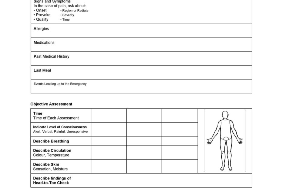 40 Fantastic SOAP Note Examples U0026 Templates TemplateLab