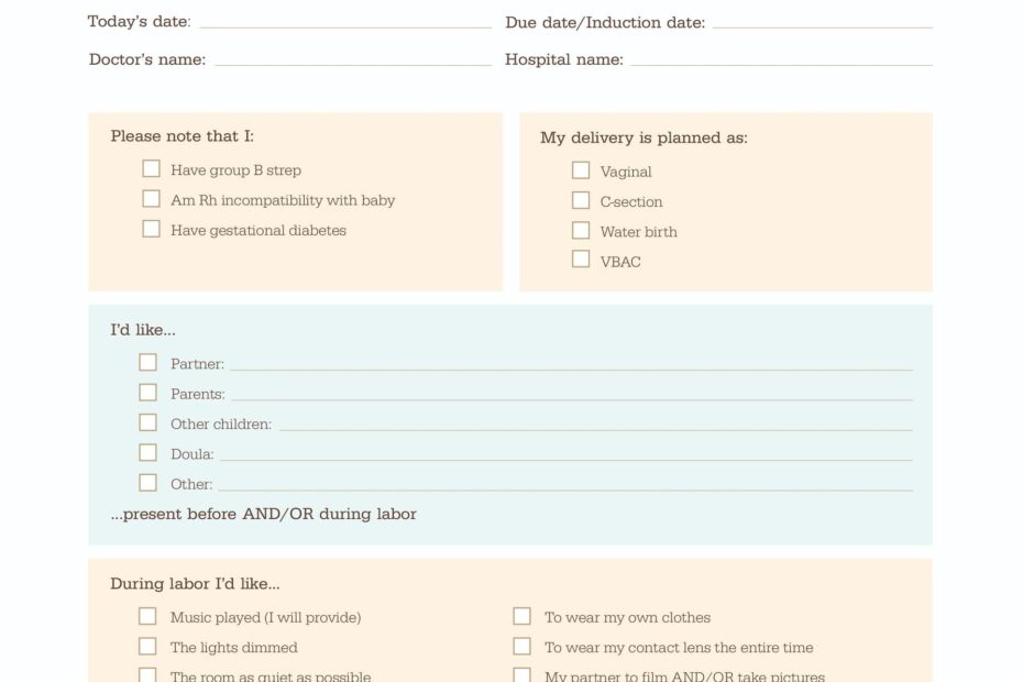 47 Printable Birth Plan Templates Birth Plan Checklist TemplateLab