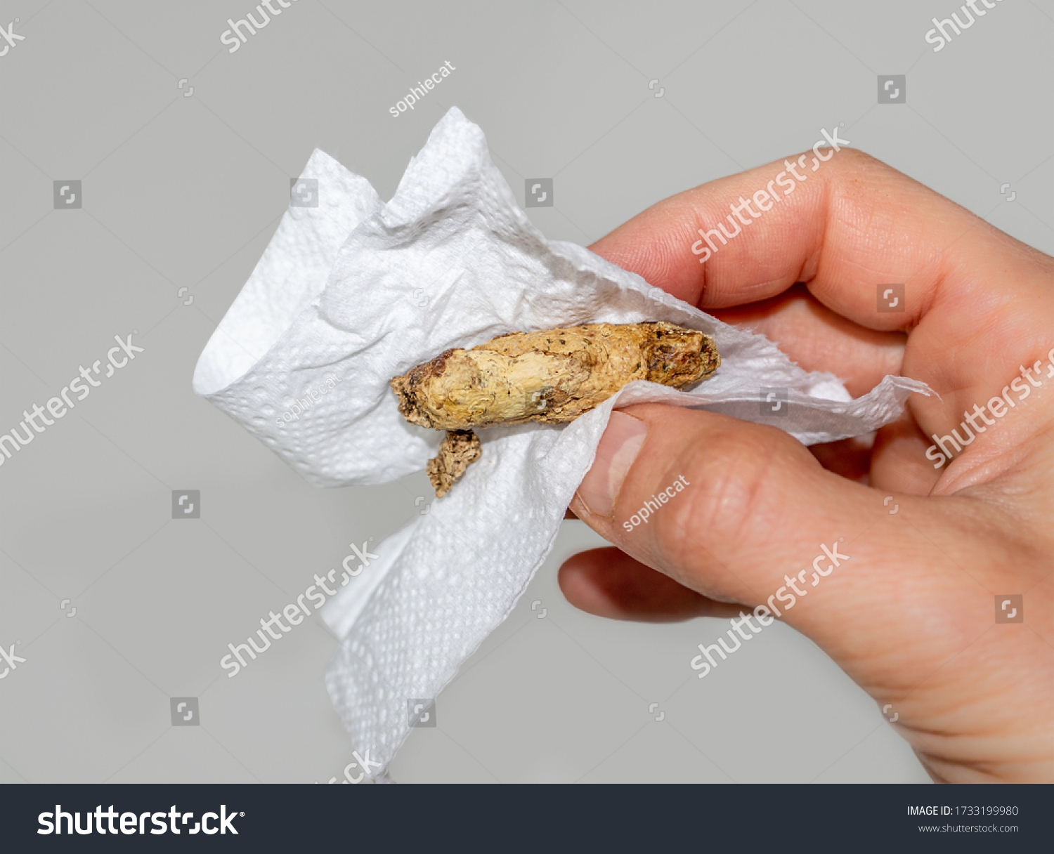 53 Pale Poop Royalty Free Images Stock Photos U0026 Pictures 