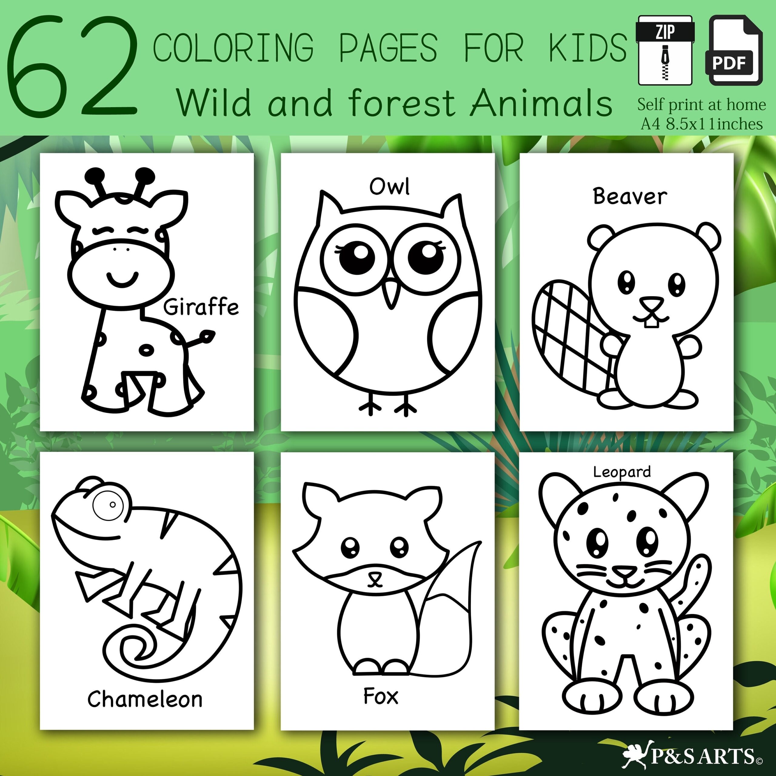 forest animals pictures to color