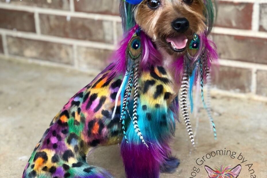 7 Colorful Dogs Ideas Colorful Dog Dog Hair Dye Creative Grooming