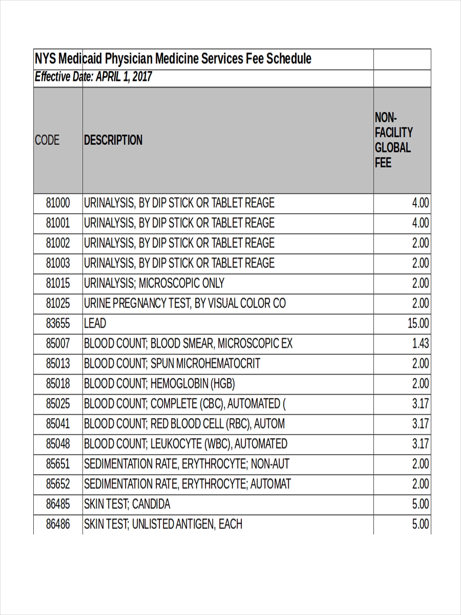 7 Fee Schedule Examples To Download