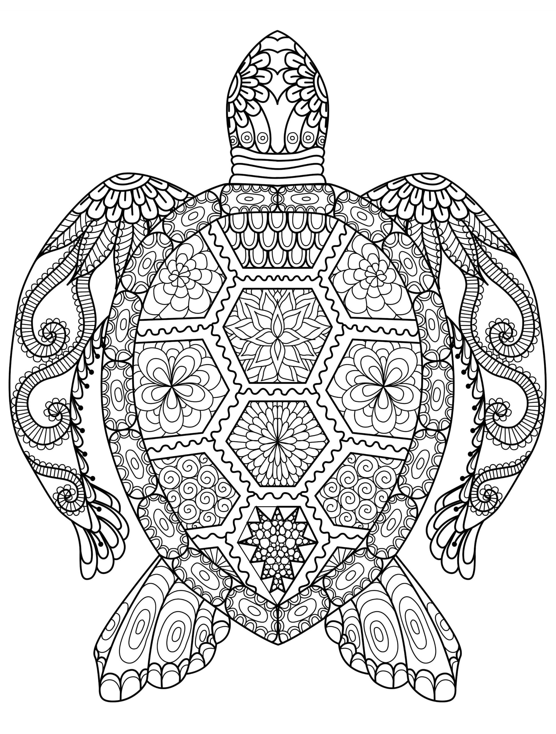 coloring pages animals for adults