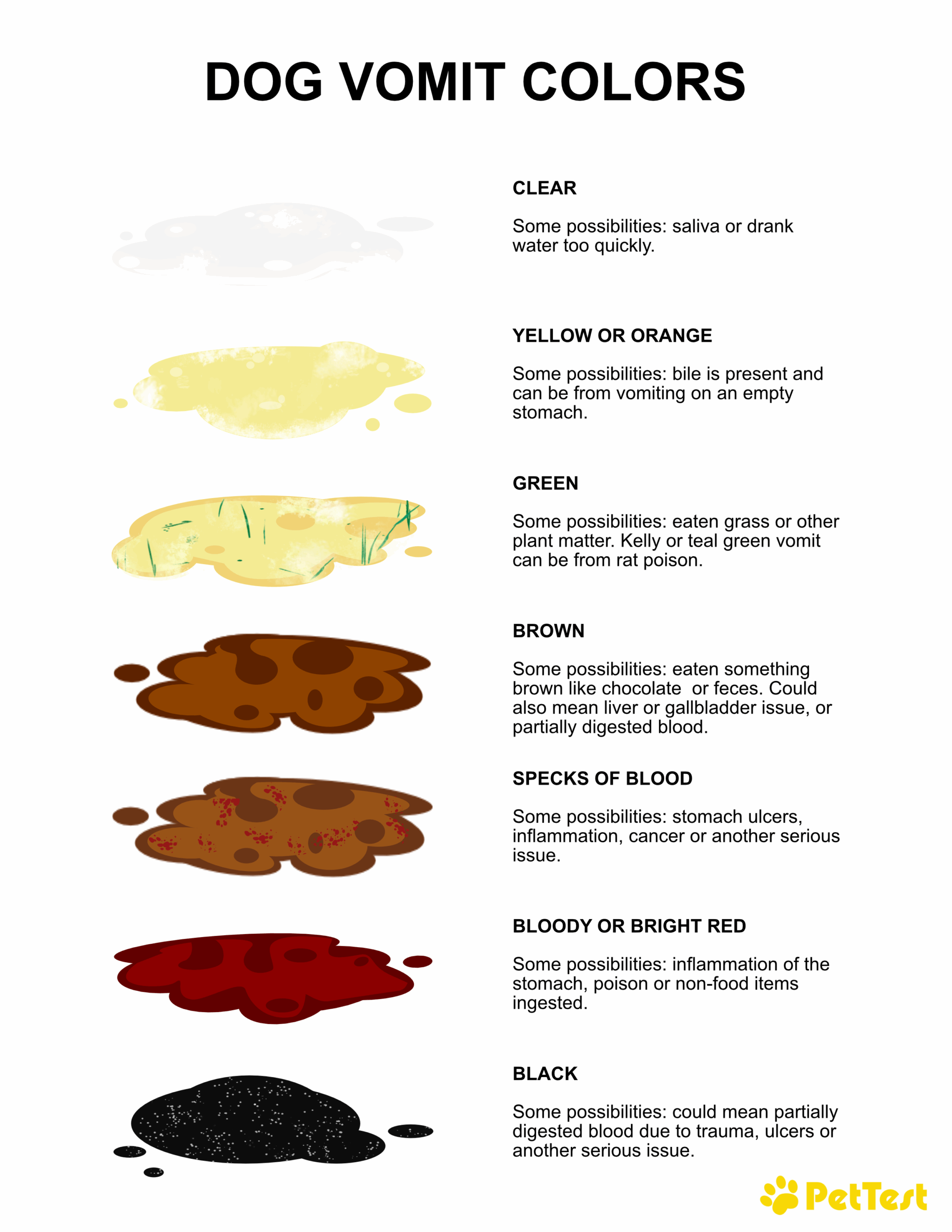 A Color And Consistency Guide To Dog Vomit PetTest By Advocate