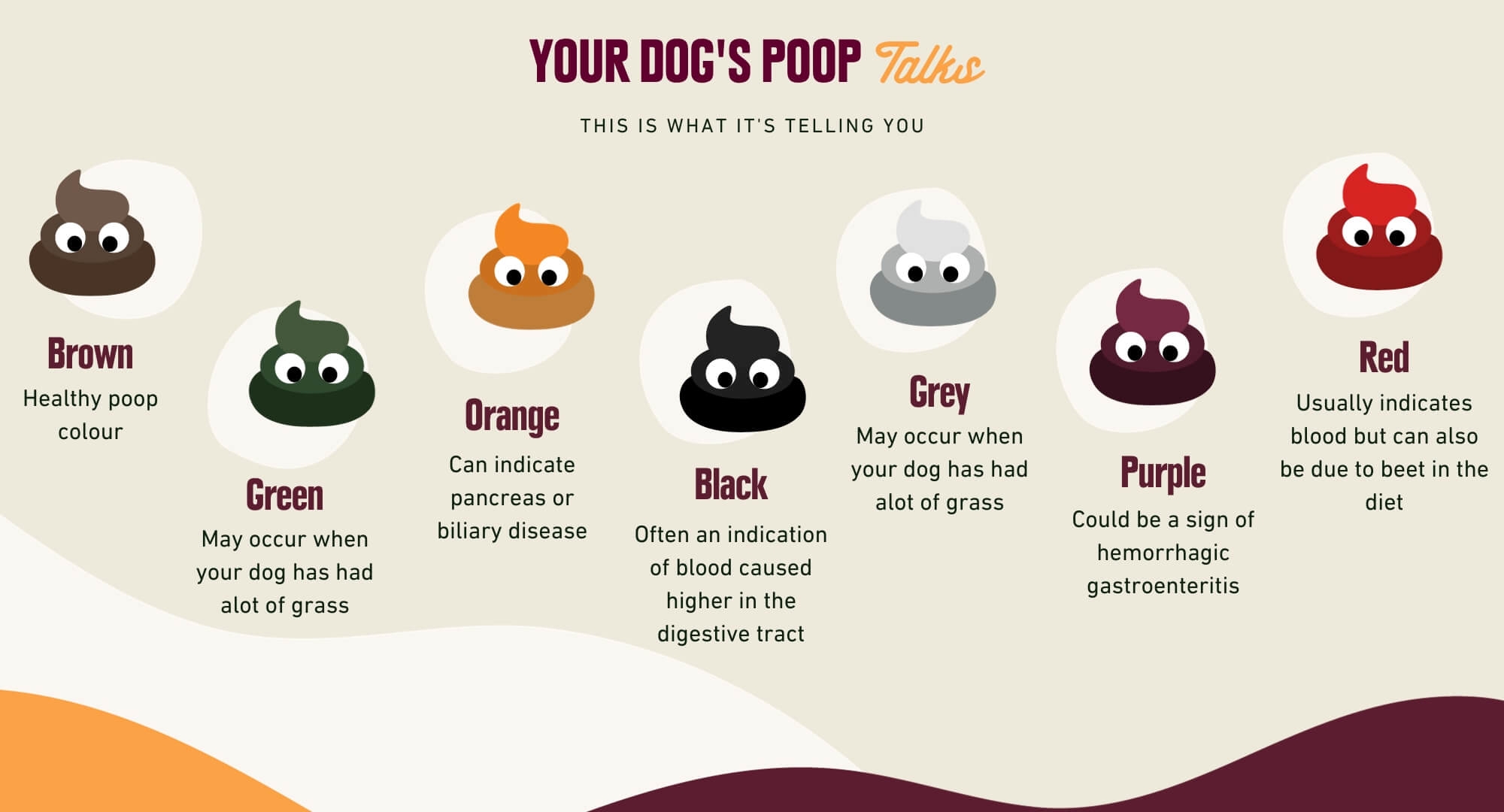 A Super Guide To Your Dog s Poop Cola s Kitchen Blog