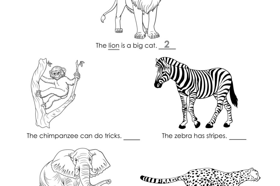 ABCmouse Miscellaneous Printables 5 Images Behance