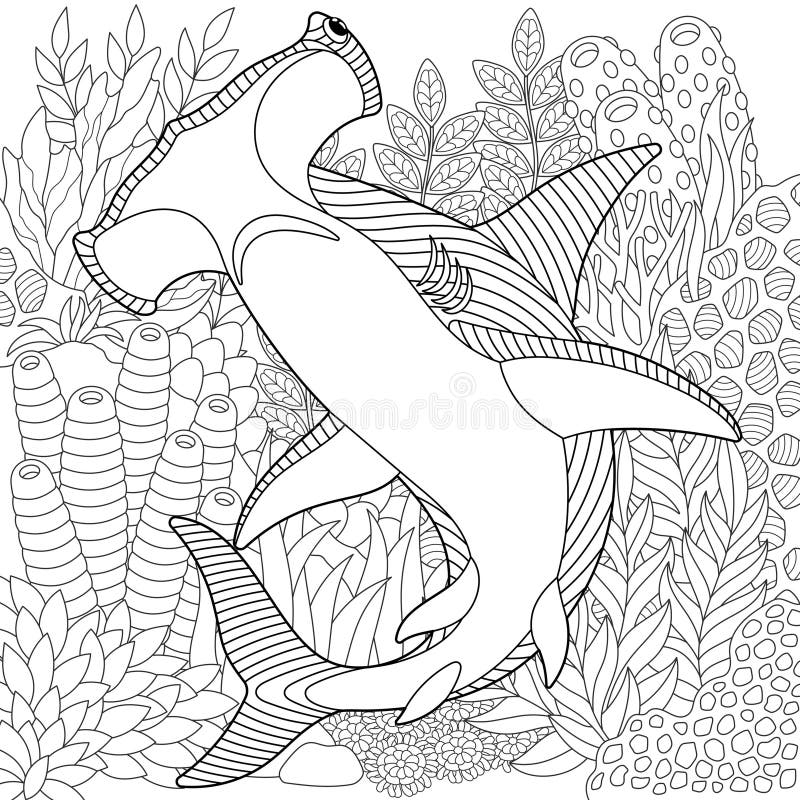 Adult Coloring Shark Stock Illustrations 220 Adult Coloring Shark Stock Illustrations Vectors U0026 Clipart Dreamstime