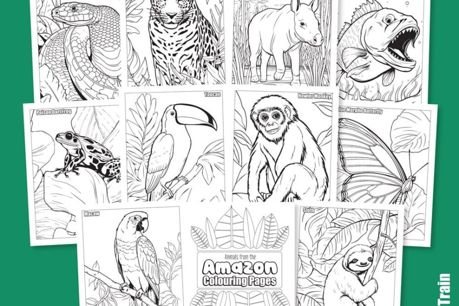 Amazon Animal Colouring Pages The Craft Train