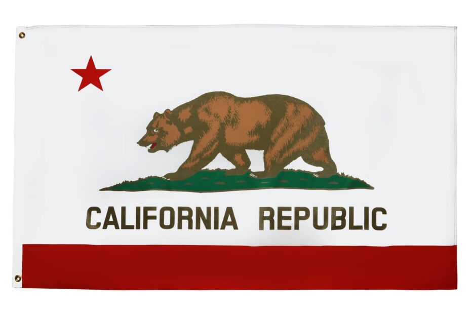 Amazon AZ FLAG California Flag 2x3 Ft 100D Polyester Californian Banner With Two Metal Grommets Fade Resistant Vivid Colors 2 X 3 Feet 90x60 Cm Sports U0026 Outdoors