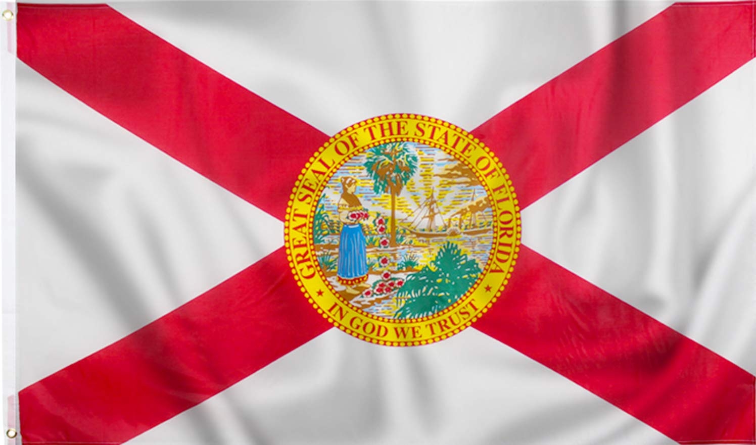 Amazon PMLAND 3x5 Feet Florida State Flag Printed Vivid Color Quality Polyester Flag Indoor Outdoor Patio Lawn U0026 Garden