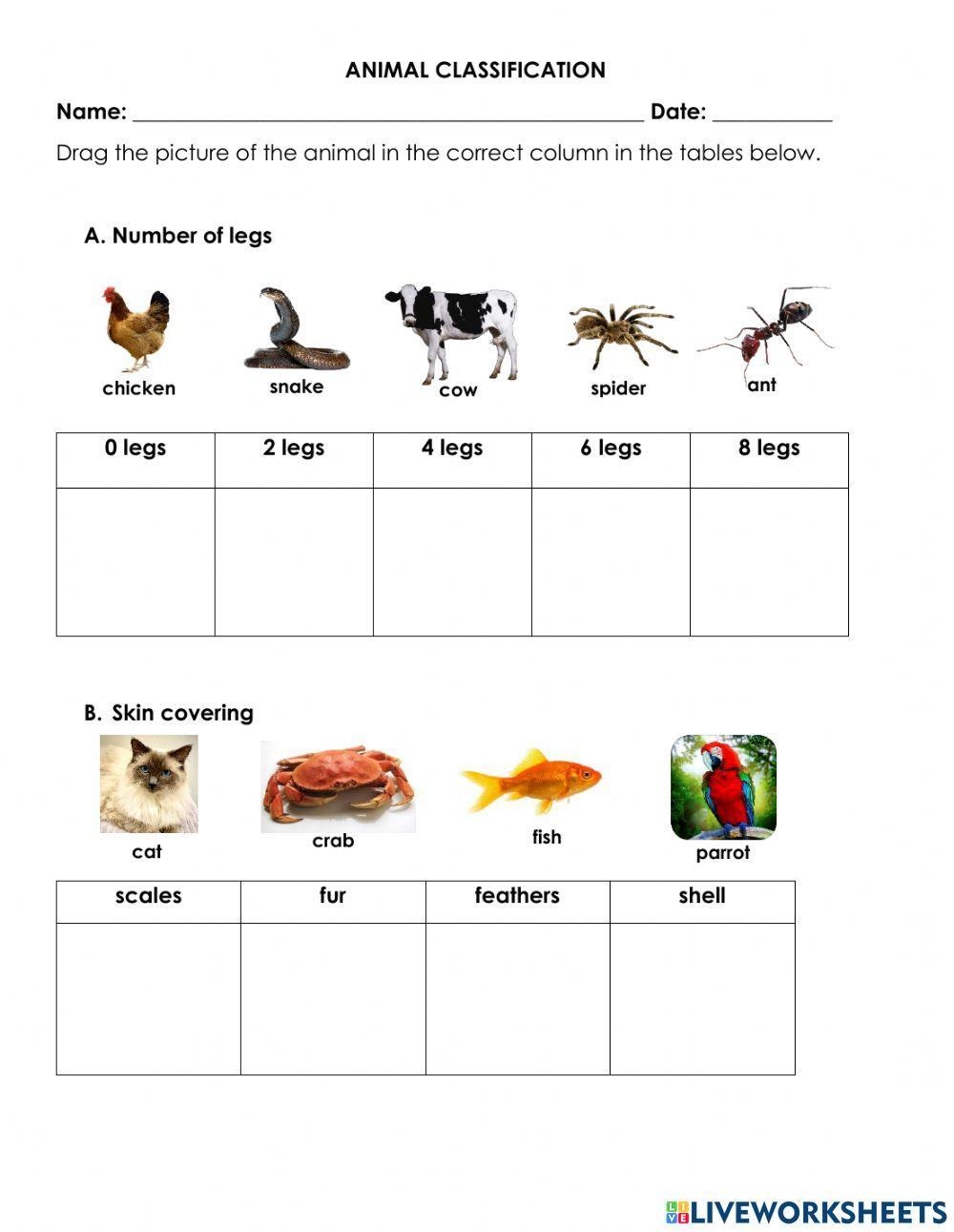 ANIMAL CLASSIFICATION Review Worksheet Worksheet Live Worksheets Worksheets Library