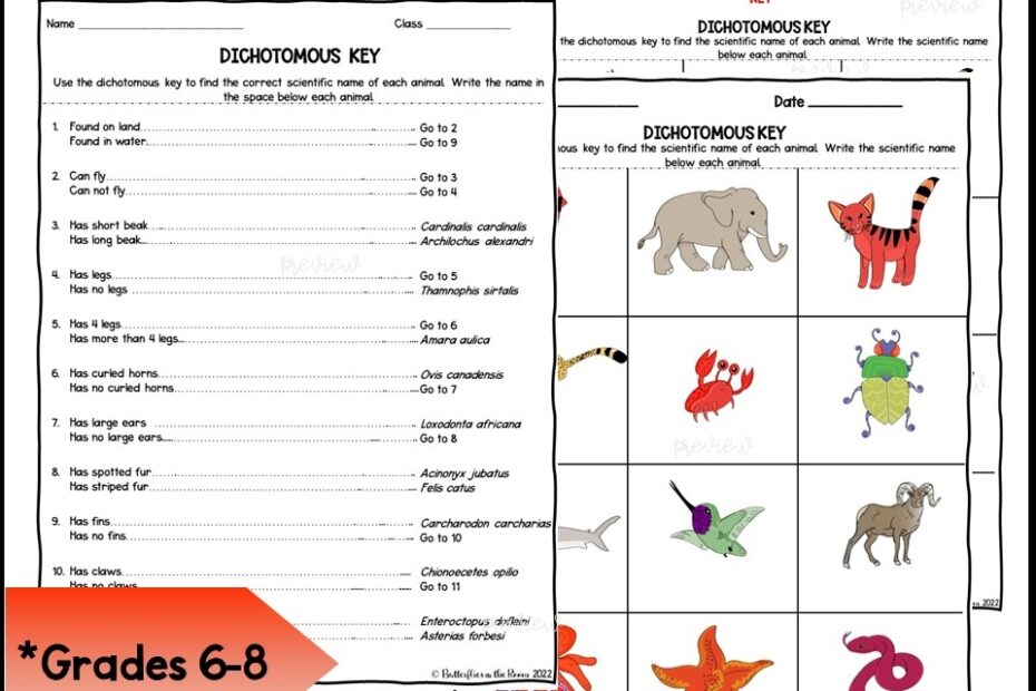 Animal Dichotomous Key Classful