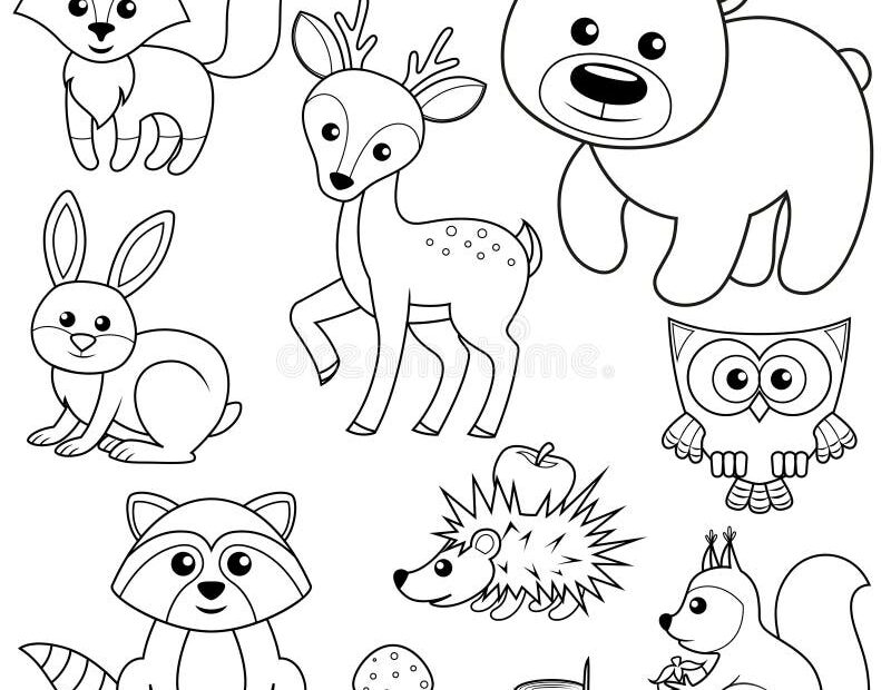 Animals Coloring Forest Stock Illustrations 5 260 Animals Coloring Forest Stock Illustrations Vectors U0026 Clipart Dreamstime