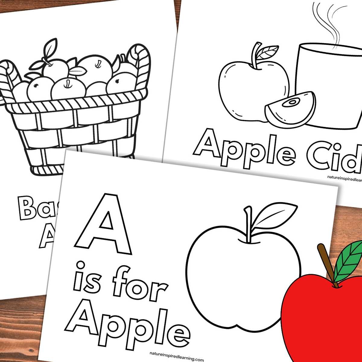 apple picture to color