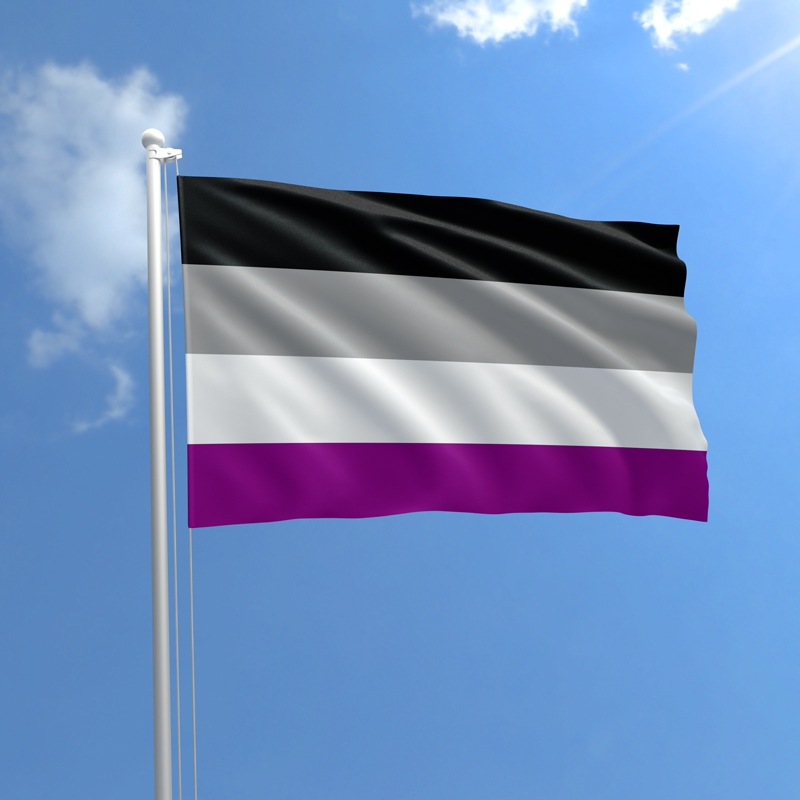 Asexual Ace Pride Flag Grand Rapids Pride Center