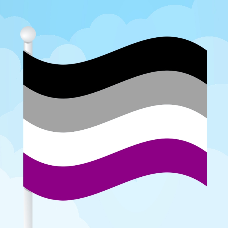 ace flag colors
