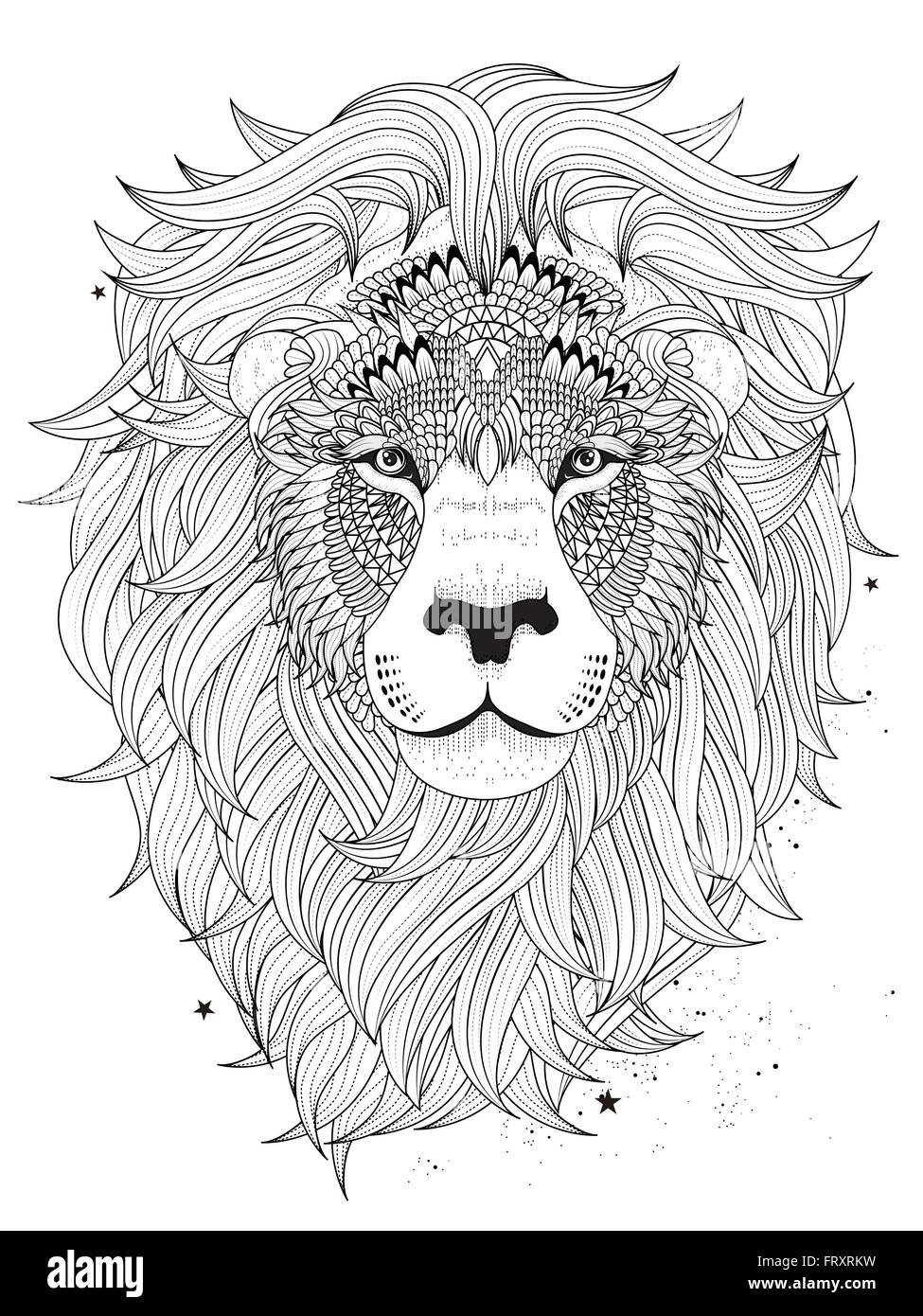 Attractive Fluffy Lion Head Adult Coloring Page Stock Vector 