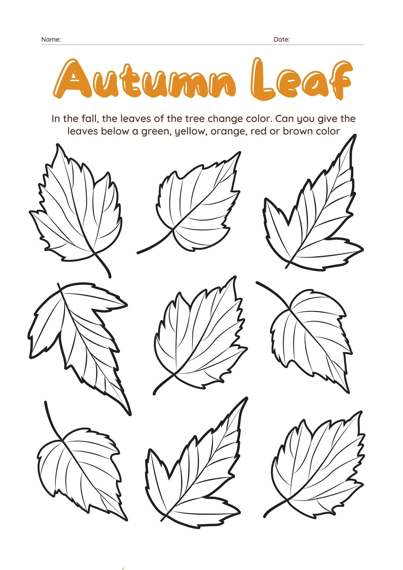 Autumn Leaf Work Sheet Kids Worksheet Colouring Busy Books Children Activities Printable Worksheet Digital Download