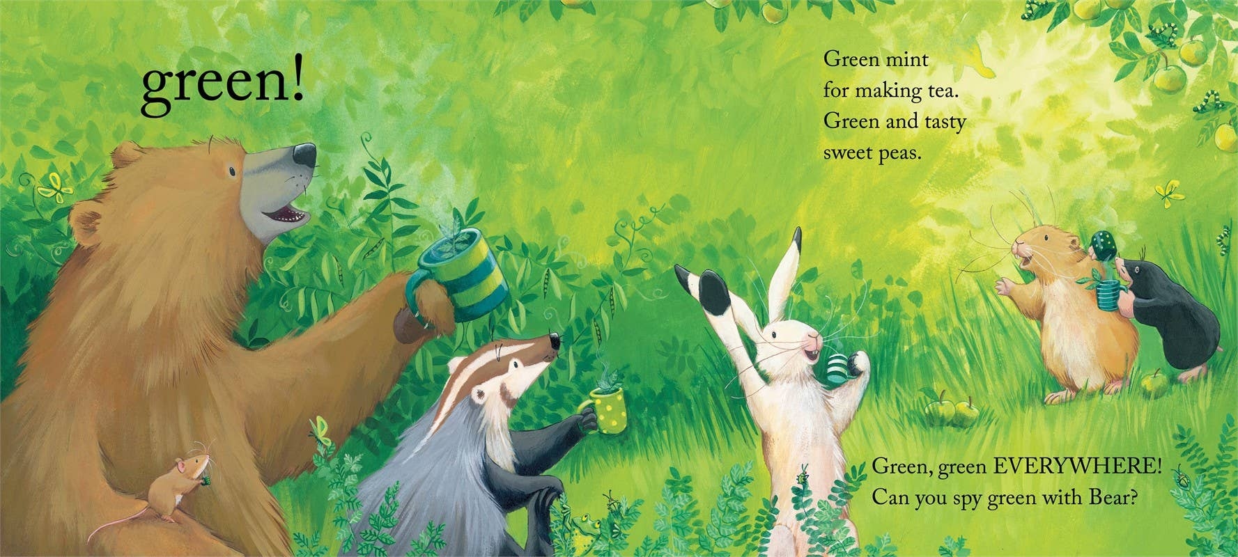 Bear Sees Colors By Karma Wilson Pride Joy