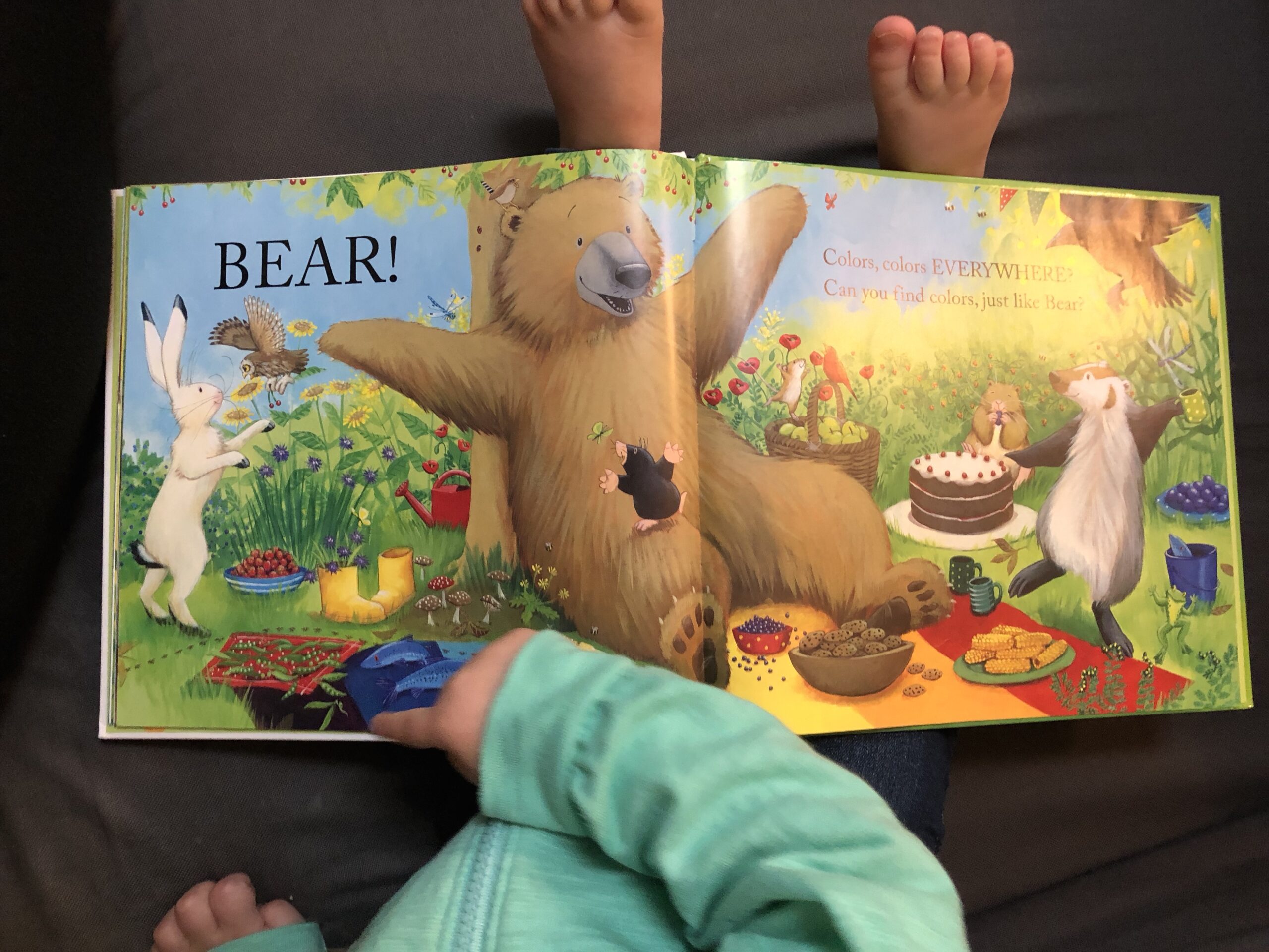 Bear Sees Colors For Speech Therapy Speak Play Love