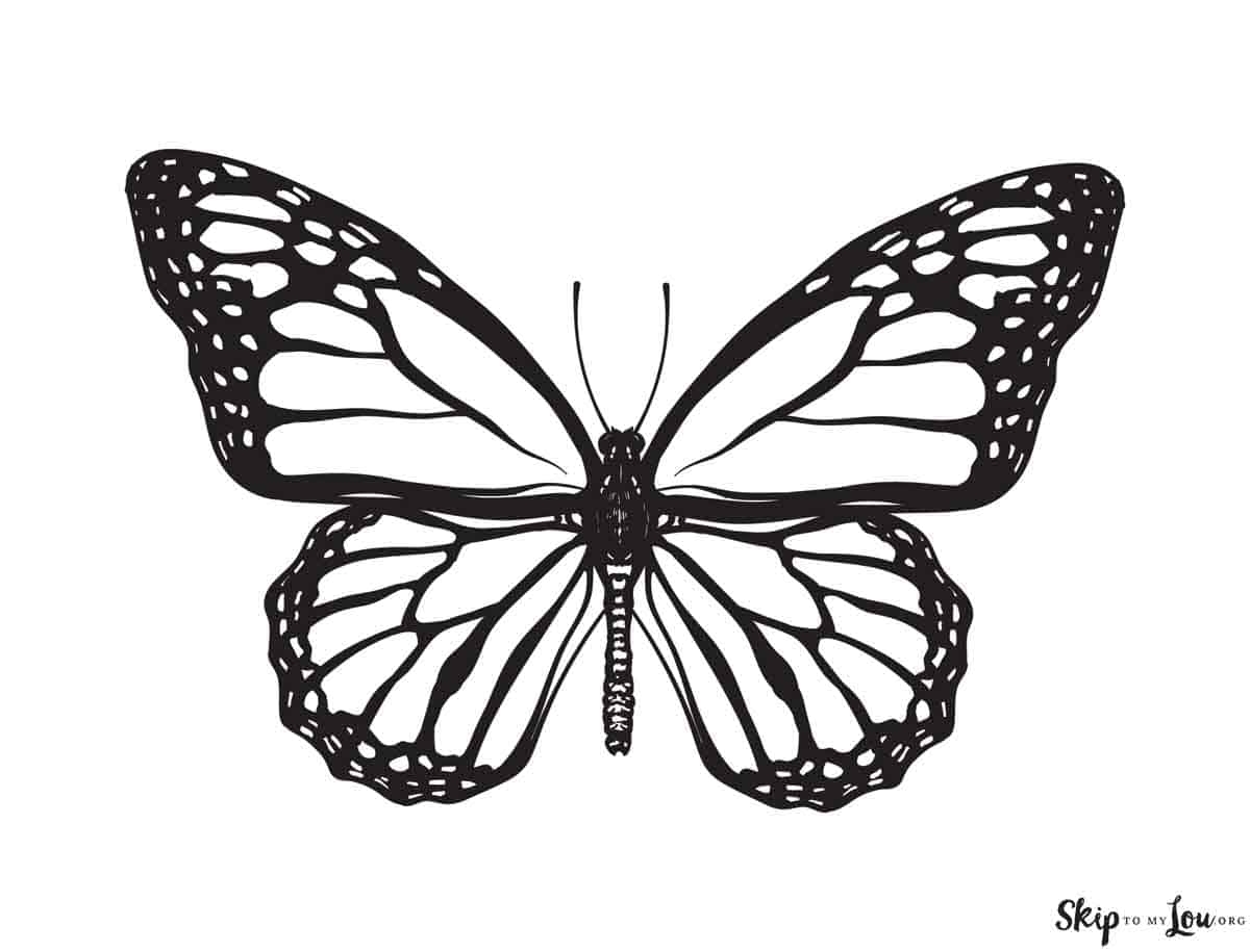 butterfly printable coloring page