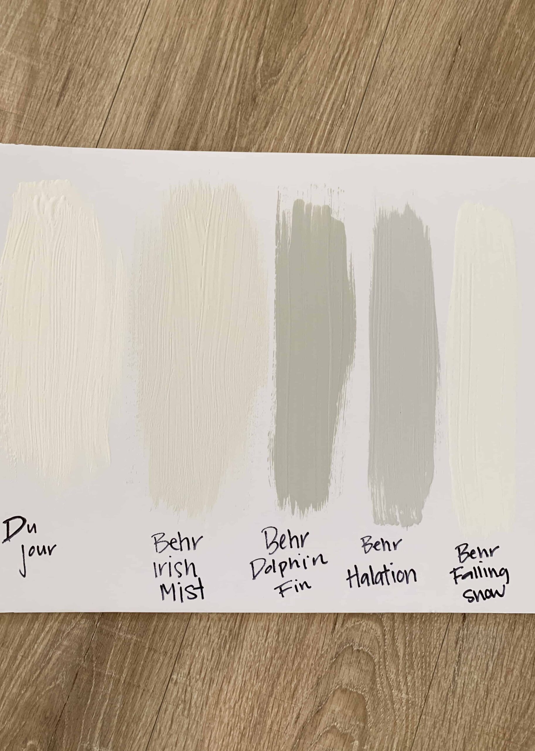 behr dolphin fin color palette