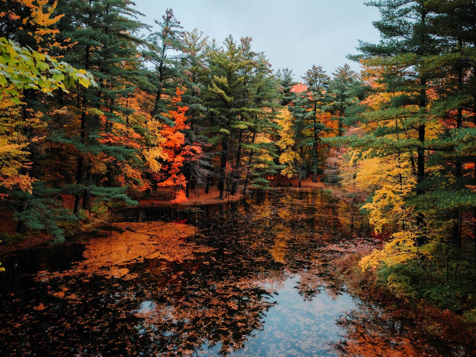Best Places To See Fall Color In The Great Lakes Bay Go Great 