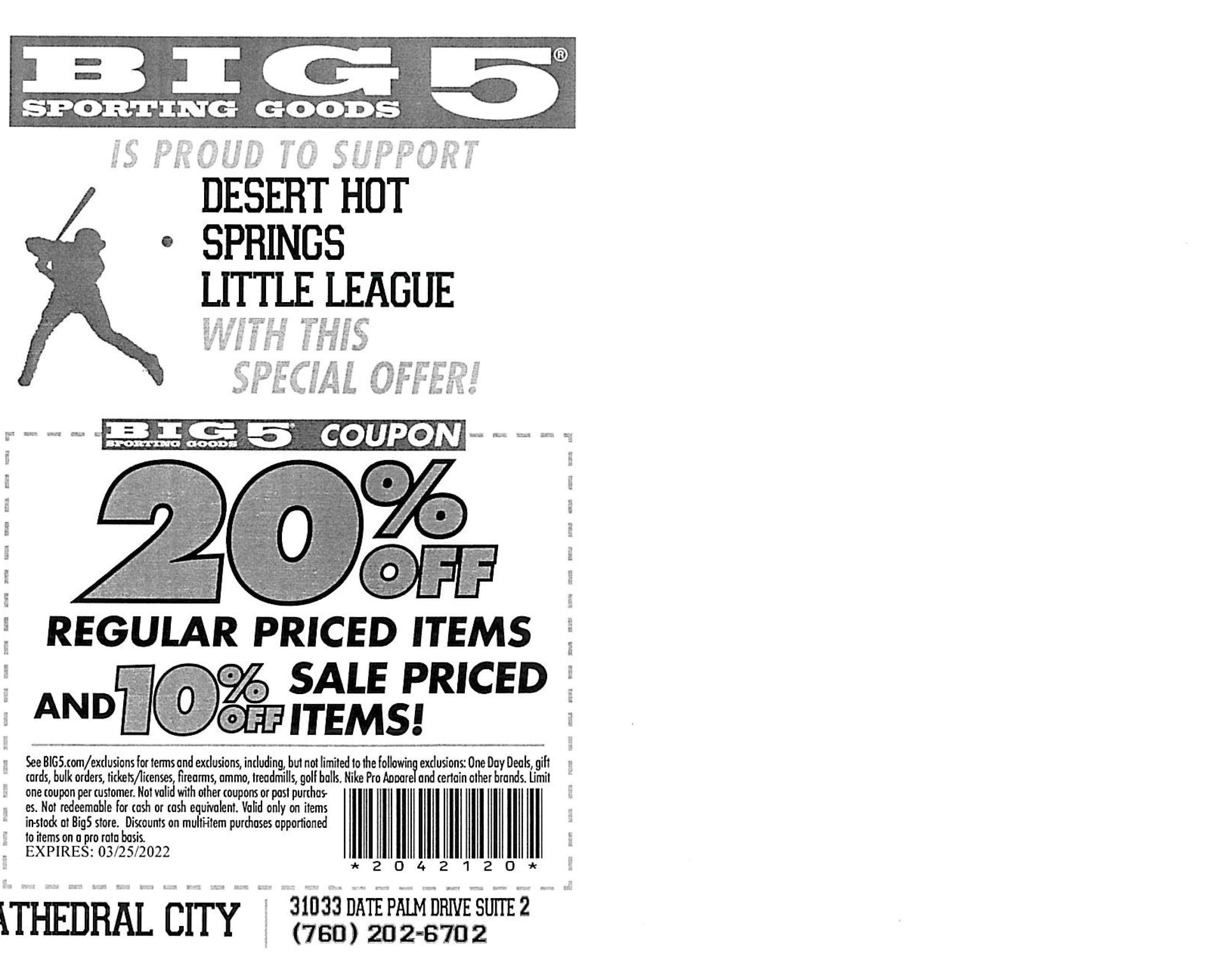 big 5 printable coupon