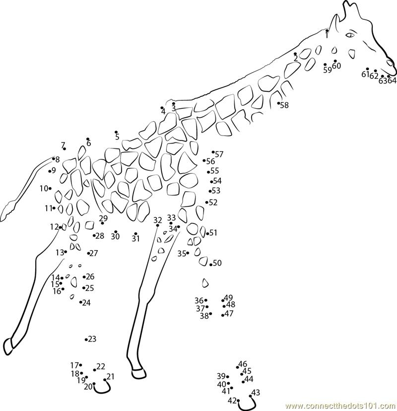Big Animal Giraffe Dot To Dot Printable Worksheet Connect The Dots