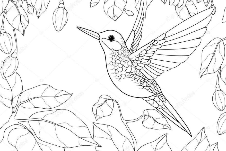 Bird Hummingbird Blooming Garden Raster Illustration Page Printable Children Coloring Ilustrasi Stok Oleh toricheks2016 gmail 587859230