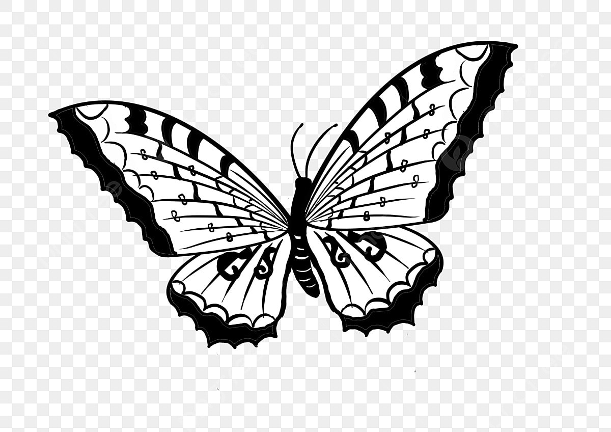 Black And White Clipart Download Free Transparent PNG Format Clipart Images On Pngtree