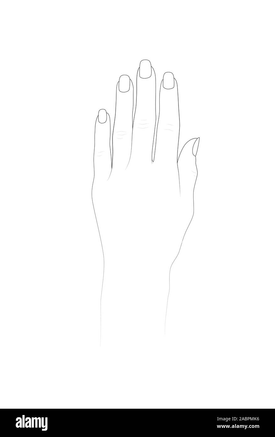 Blank Design Nails Black And White Stock Photos U0026 Images Alamy