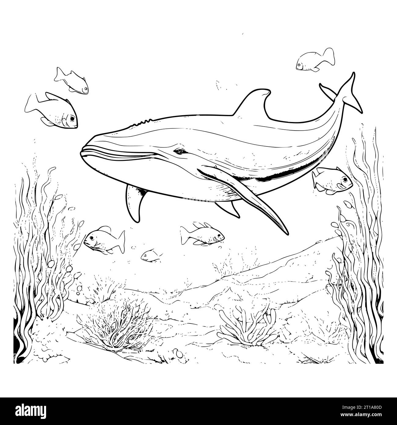 blue whale coloring pages