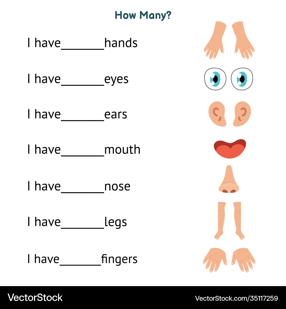 Body Parts Worksheet For Kids Royalty Free Vector Image