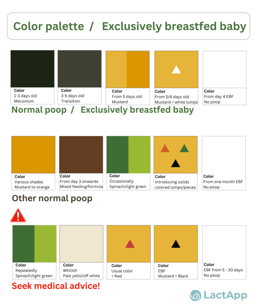 Breastfed Baby Poop The Color Palette